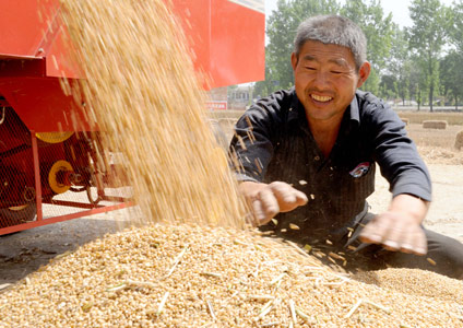 bumper harvest of grain,