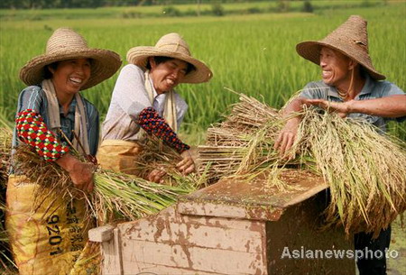 Govt should allow grain prices to rise by up to 20%, expert says