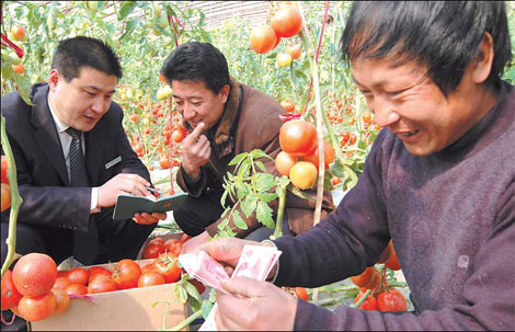 Microcredit lenders ermerging in China