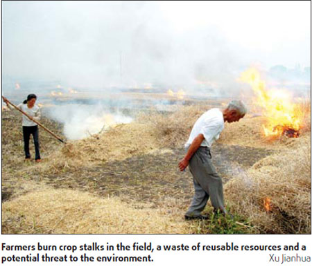 A green dragon spreads its wings across China