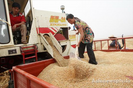 China to launch national spot checks on grain stockpiles