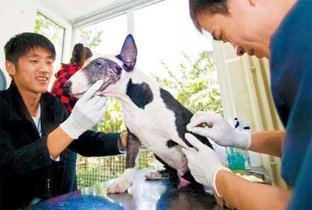 Vets team up for pet clinic