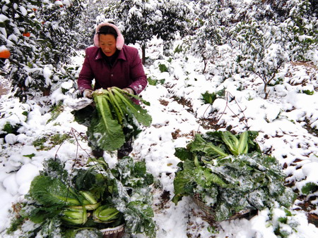 Weather hits food prices