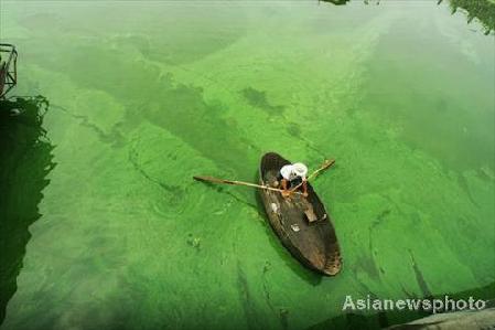 Algae menace to be savior of China's fabric industry