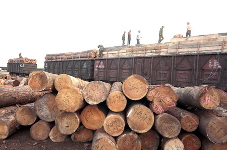 Forest product trade growth may slow down