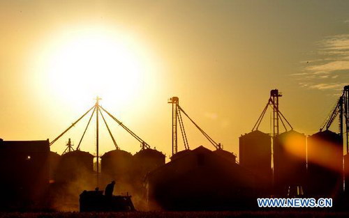 Autumn harvest in NE China's major rice producing province