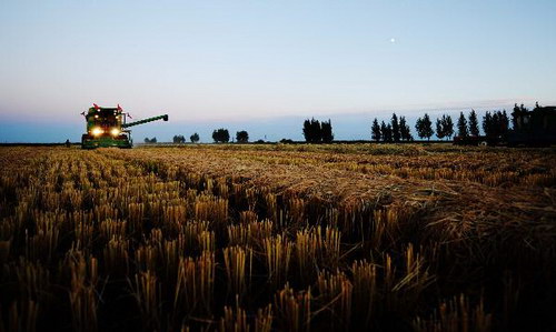 Autumn harvest in NE China's major rice producing province