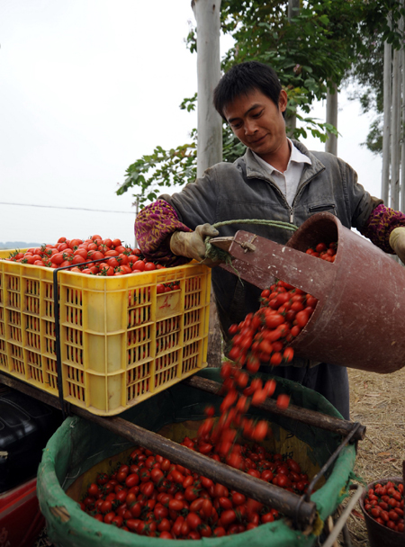 Yield to be increased to counter price surge