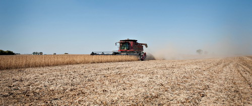 Soy slump ending as high demand overwhelms farms