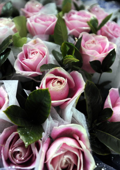Valentine's Day brings fragrance, fortune