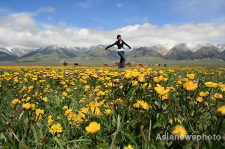 Summer on Lake Sayram