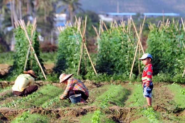 Rural development key to achieving national goal