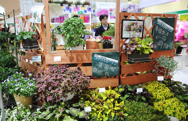 Flower fair brings fragrant business to Beijing