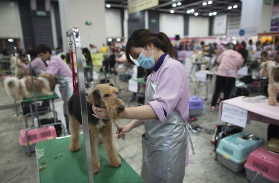 Hong Kong Pet Show attracts pet lovers
