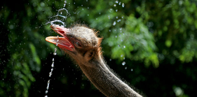 Retail industry to see steady growth