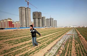 China's farmland goes to larger entities