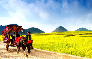 Chinese farmers busy with farming as summer comes