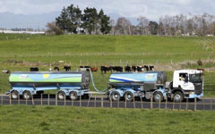 Kiwi dairy giant opens mega farms in China