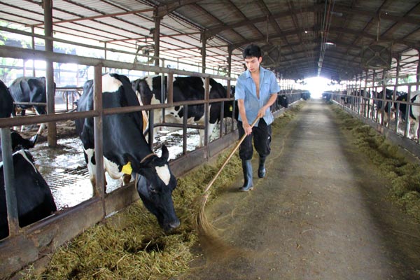 US hay feeds Chinese demand