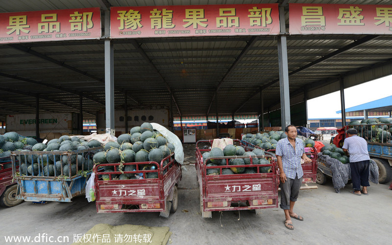 Harvest brings little joy to melon farmers