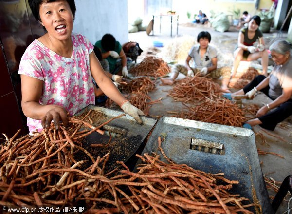 Chestnut, peanut and rice farmers of China