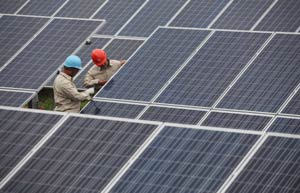 PV firms go green with solar farms