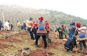 Private firms more diligent in CSR activities