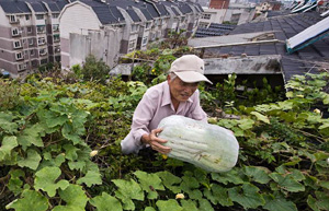 Farm produce the next frontier for Chinese e-commerce