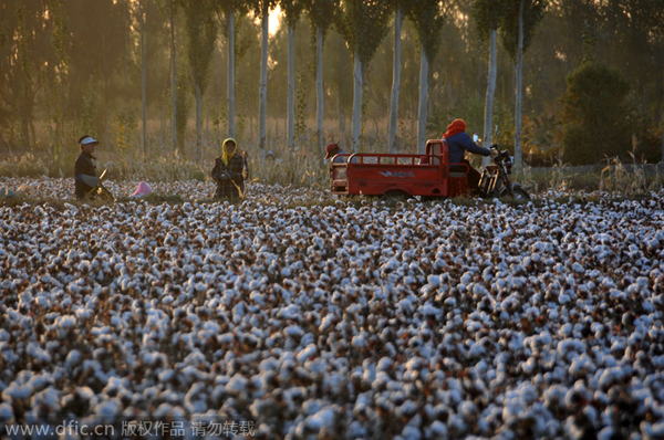 China struggling to meet demand for cotton
