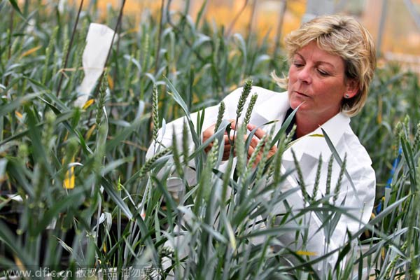 Bayer hopes to cure what ails Chinese farms