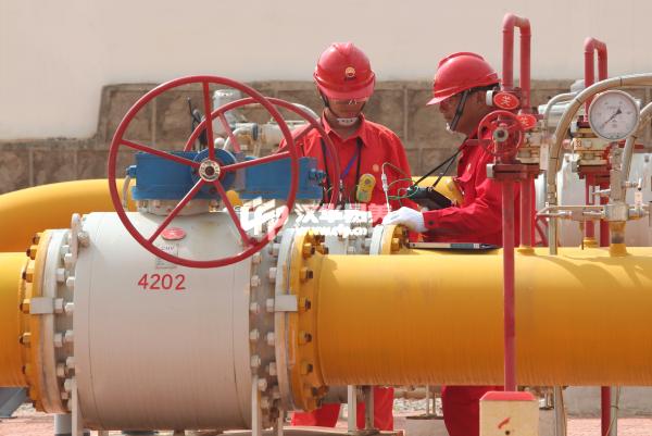 PetroChina slides after profit alert