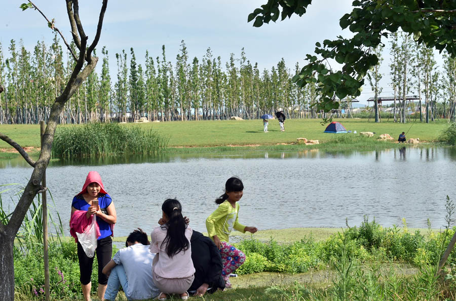 Wetland helps preserve ecology of Dianchi Lake