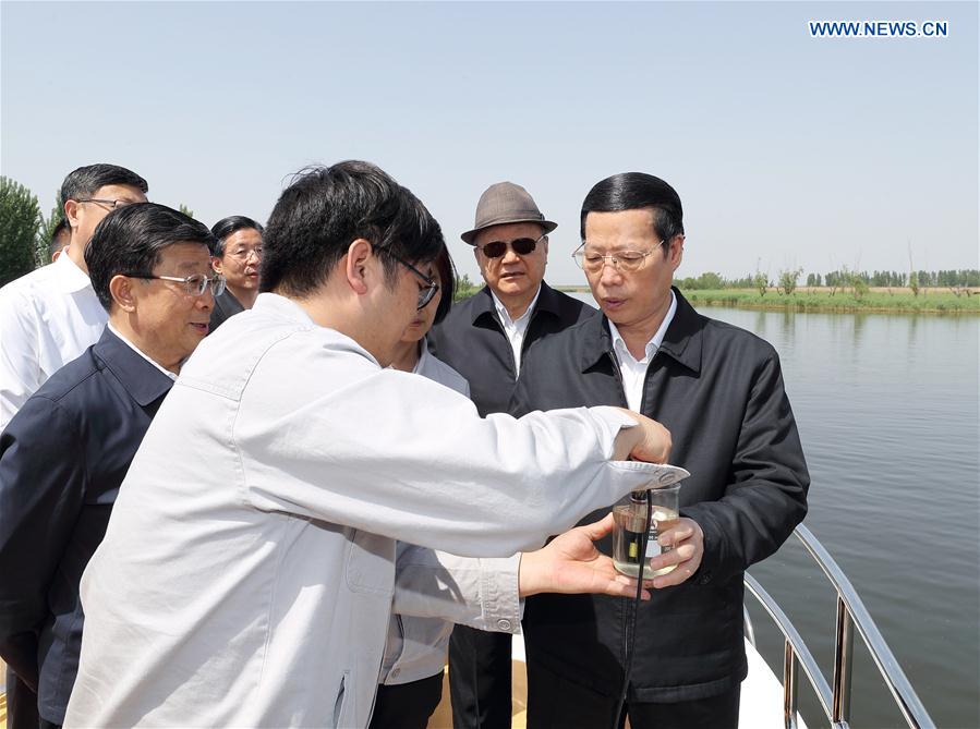 Chinese Vice Premier stresses tight control of property development in Xiongan