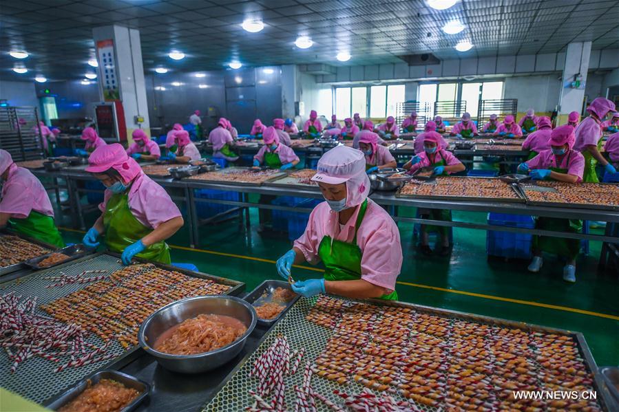 Output of pet industry of E China's Pingyang reaches 3b yuan in 2016