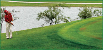 Hole in one for the money