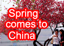 Spring comes to China