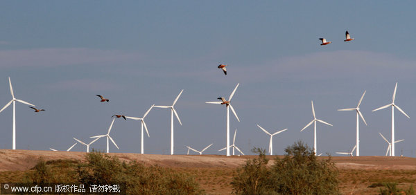 Clean energy helps to preserve natural beauty in Xinjiang
