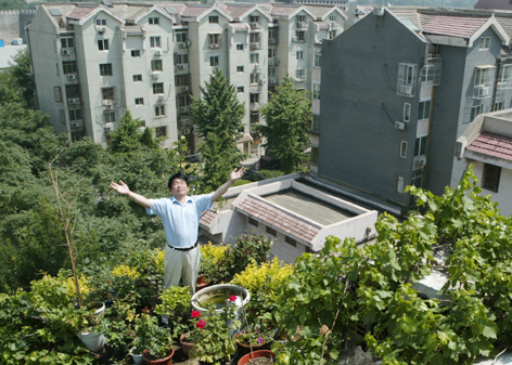 More green terraces in Beijing soon