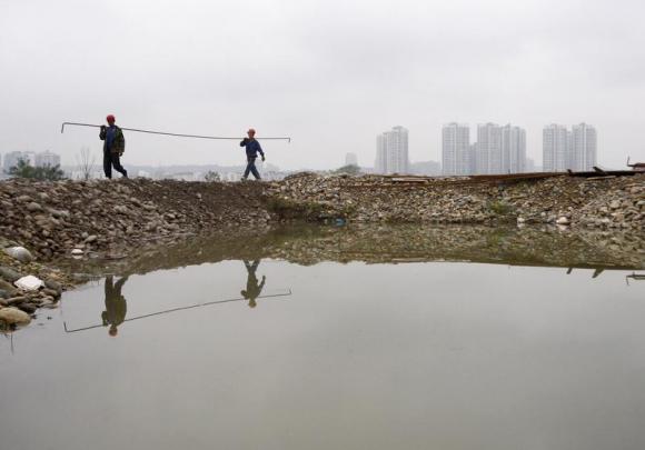 Shrinking of wetlands spurs call for regulation