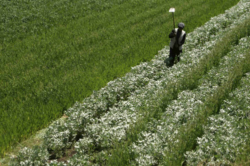 Premier: Chinese people self-sufficient in food