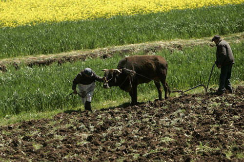 Premier: Chinese people self-sufficient in food