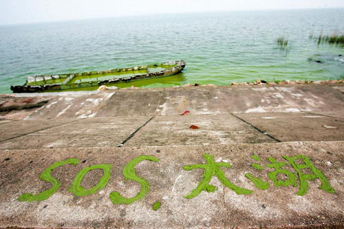 Blue-green algae outbreaks likely to occur again