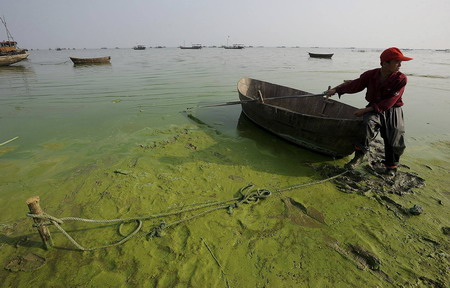 Algae found in east China lake, water for 320,000 threatened