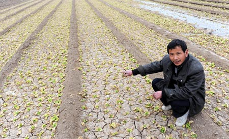 Drought relief effort under way