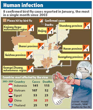 Customers still shun poultry