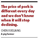 Bailout plan for pig farmers as price plummets
