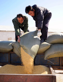 Cold soybean auction may prompt hot actions