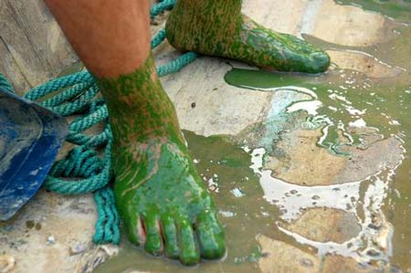 China warns of blue algae outbreak in major lake