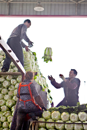 Price fall means cruel harvest
