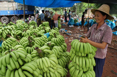 Netizens bunch together to help banana growers